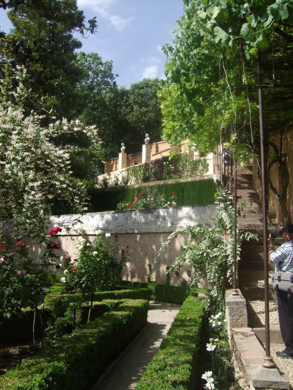 Anadalusien 2009 - 0849 